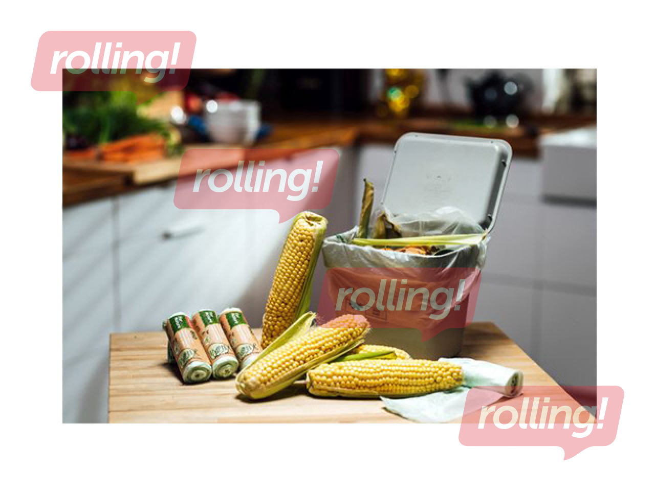 Atkritumu maisi Paclan, For Nature, biodegradējami, gaiši zaļi, 14µm, 12l, 15gab.