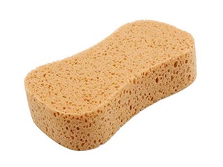 Autopesukäsn TORO Jumbo, 22 x 11 cm