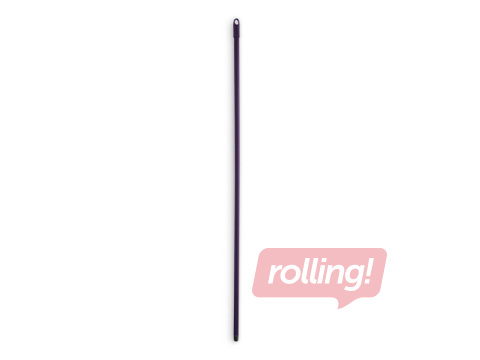 Brush Handle Mery, purple, 140cm