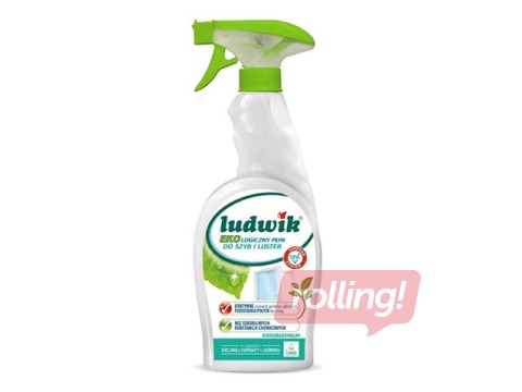 Stiklu tīrīšanas līdzeklis Ludwik eco, 750ml