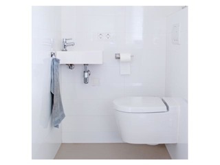 Tualetes telpas tīrīšanas līdzeklis HG, 500ml