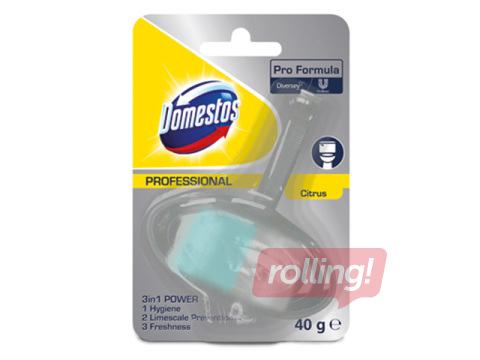 Tualetes bloks Domestos Professional Rim Block Citrus, 40g
