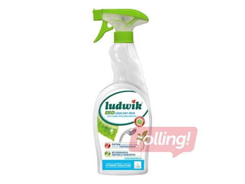 Dušas kabīņu  tīrīšanas līdzeklis, Ludwik eco, 750 ml
