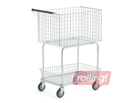 Ratiņi noliktavai, ar 2 groziem, kravnesība 100kg