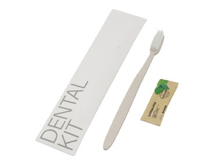 Zobu birste un pasta Stone White, 3g