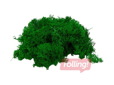 Stabilizētas sūnas, 300g, zaļas