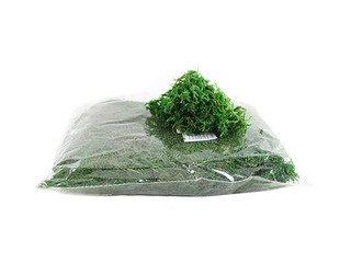 Декоративный мох, зелёный, 100г