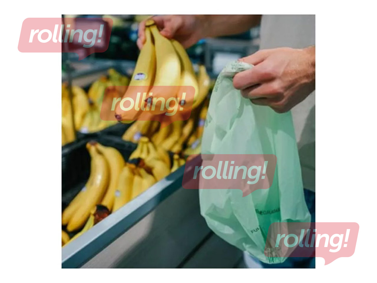 Maisiņi ar rokturiem BioBag, kompostējami, 13μm, zaļi, 34×42cm, 300 gab.