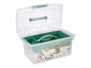 Uzglabāšanas kaste Keeeper Patryk Winnie the Pooh, ar vāku un organizatoru, caurspīdīga, zaļa,