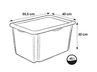 Ящик для хранения Keeeper Karolina Peppa Pig, с крышкой, прозрачный, 55.5x40x30см, 45л