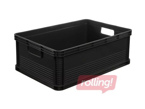 Transportēšanas kaste Keeeper Robert, plastmasas, grafīta krāsā, 45l