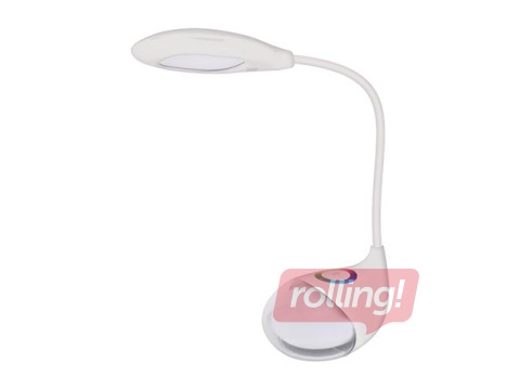 Настольная лампа BOA, LED, 6W, белая