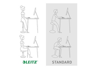 Multifunctional, adjustable chair Leitz Ergo Cosy, grey