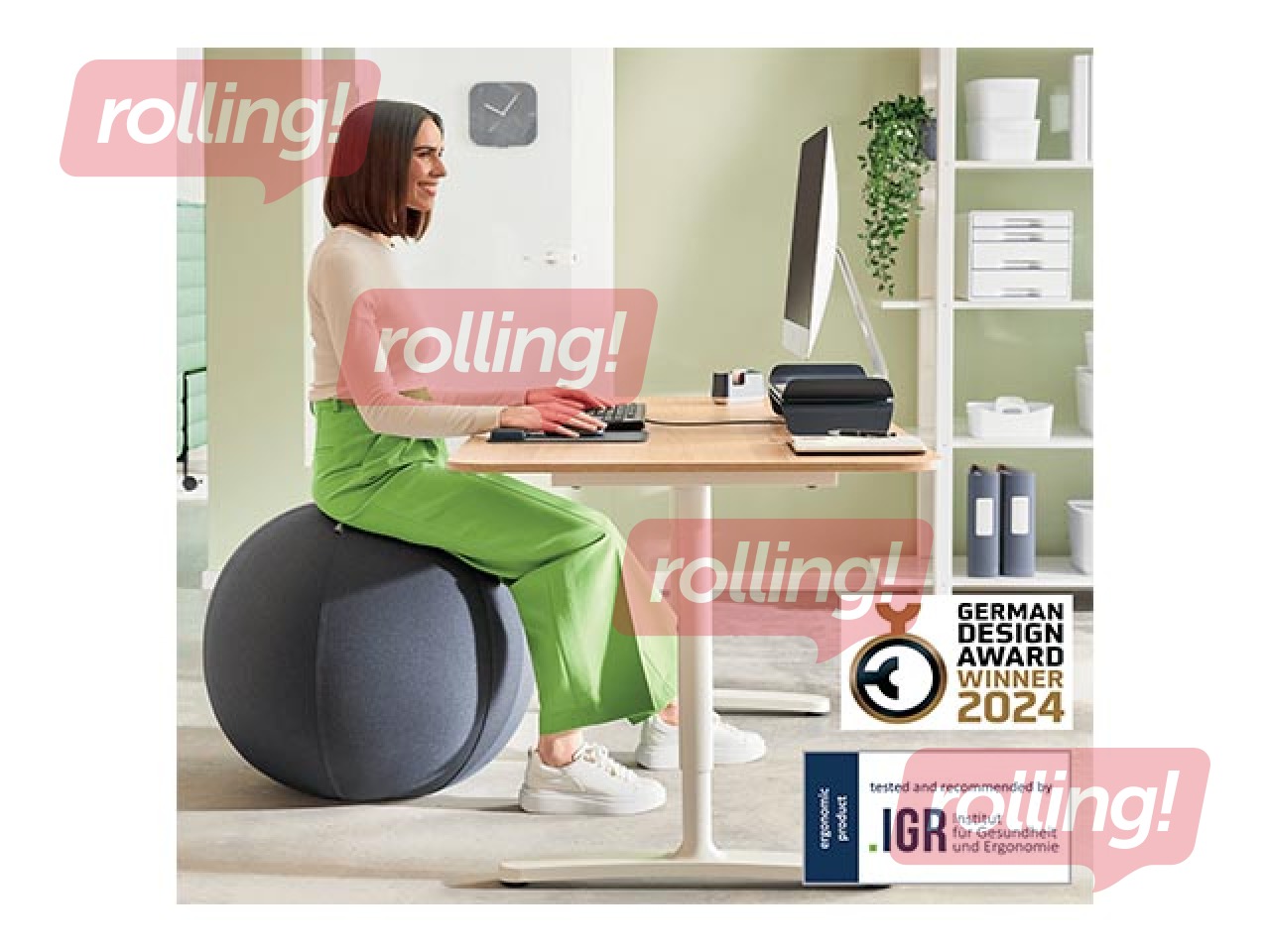 Tasakaalu pall Leitz Ergo, stopperifunktsiooniga, 65 cm