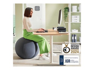 Balance ball Leitz Ergo, with stopper function, 75cm