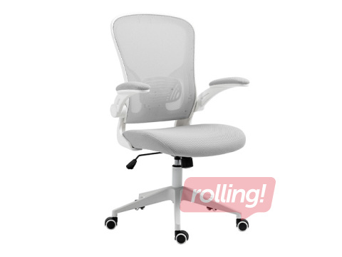 Kontoritool Chios, hall