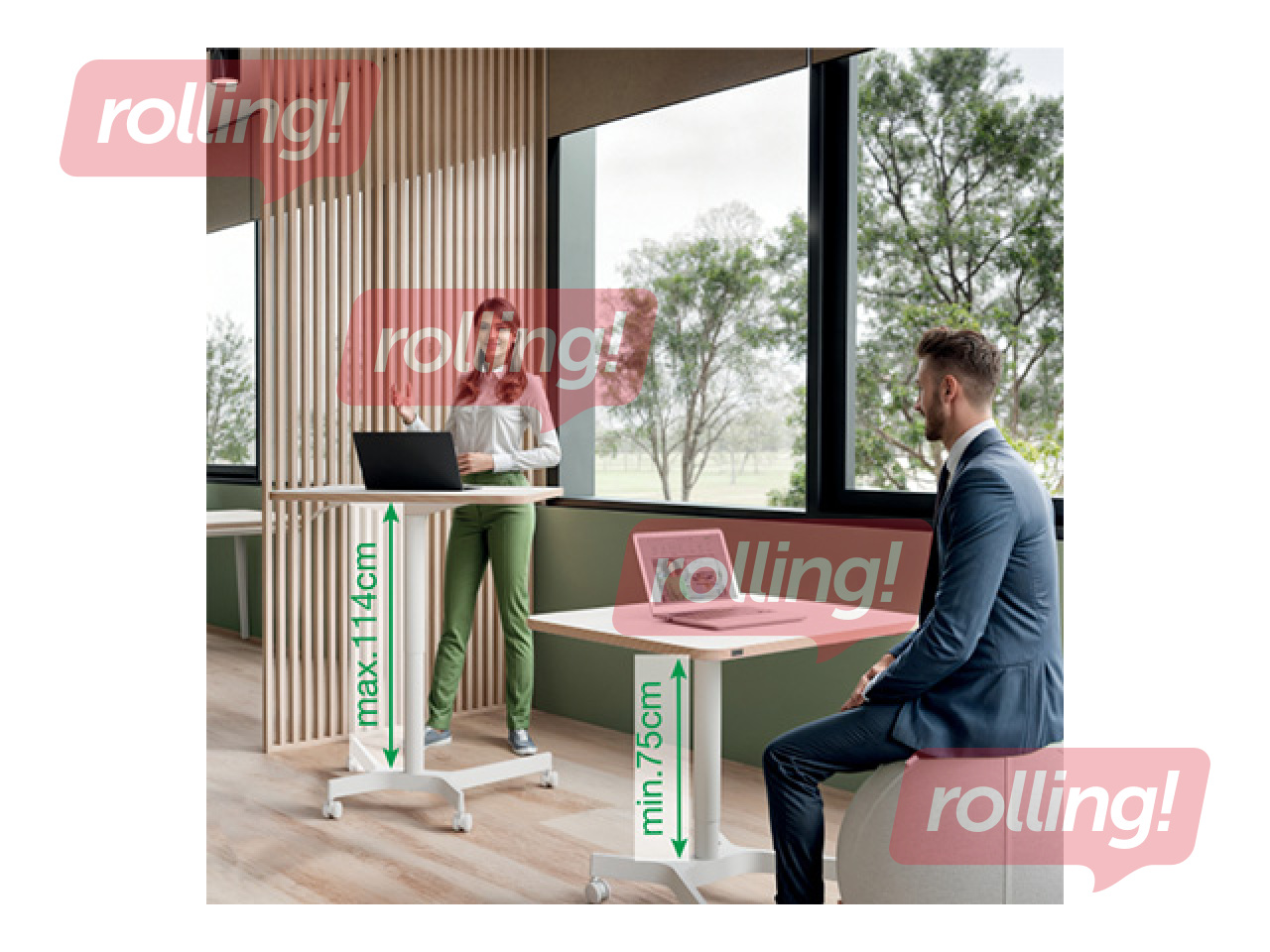 Augstumā regulējams galds Leitz Ergo, balts