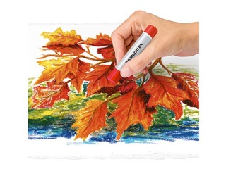 Eļļas krītiņi Oil Pastels Staedtler 2420, 24 krāsas