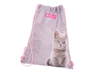 Apavu soma Astra, Pinky Kitty
