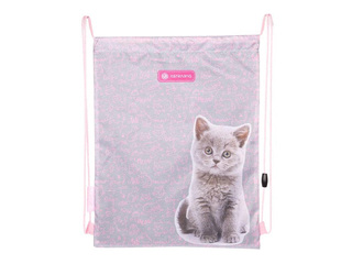Jalatsikott Astra, Pinky Kitty
