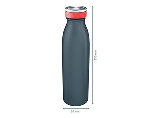 Water Bottle Leitz Cosy, grey, 500ml