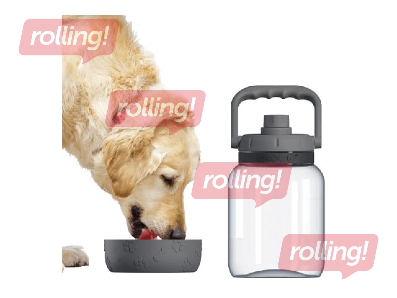 Dog water bottle Asobu Barkley, TWB21, grey, 1l