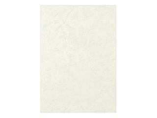 Fellowes Clear PVC Covers - 200 Micron A3