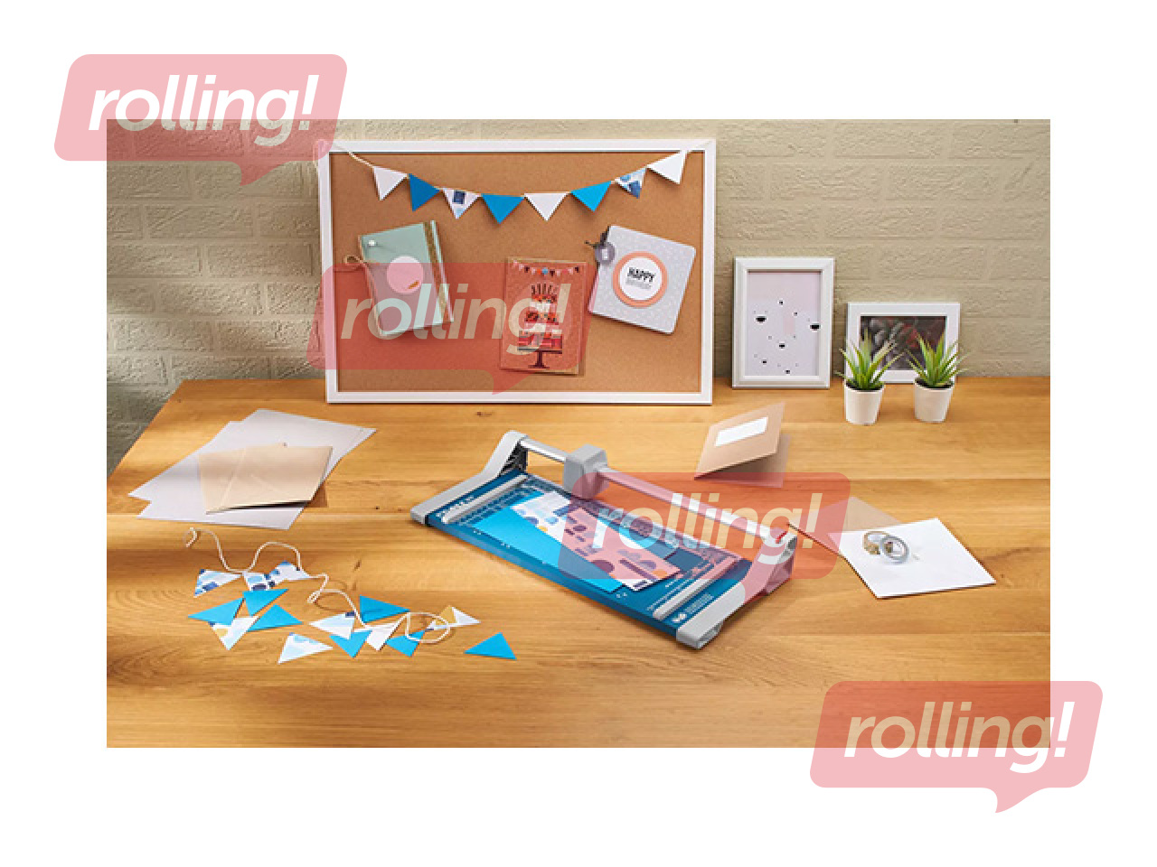 Disknazis DAHLE 507 A4