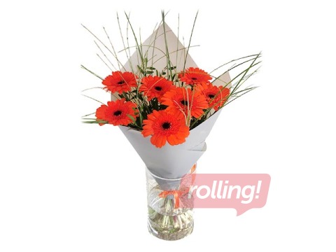 Букет из 7 мини-гербер, 40 см