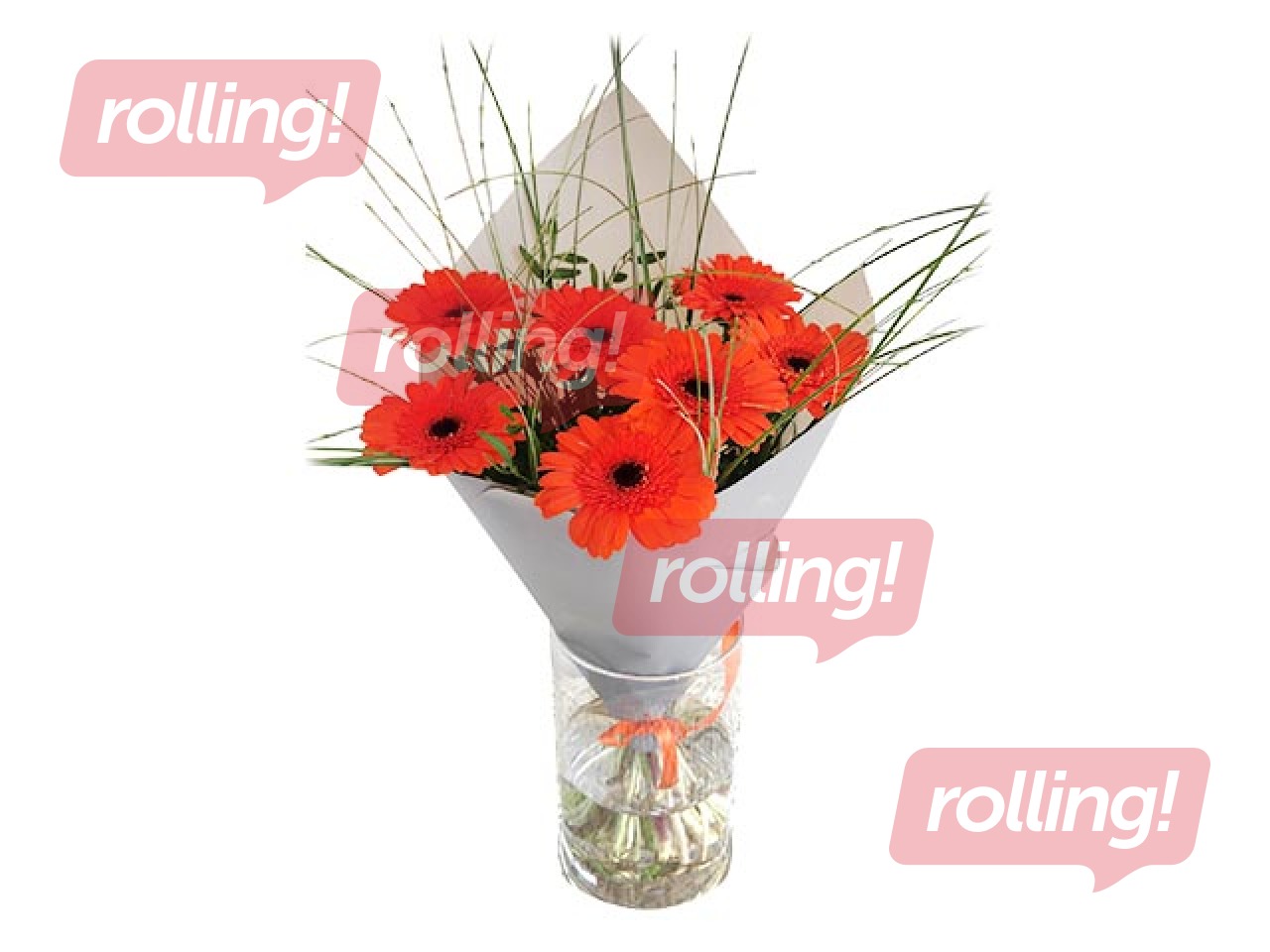 Букет из 7 мини-гербер, 40 см