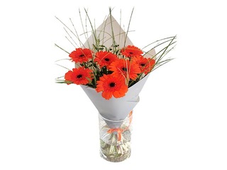 Ziedu pušķis no 7 mini gerberām, 40cm