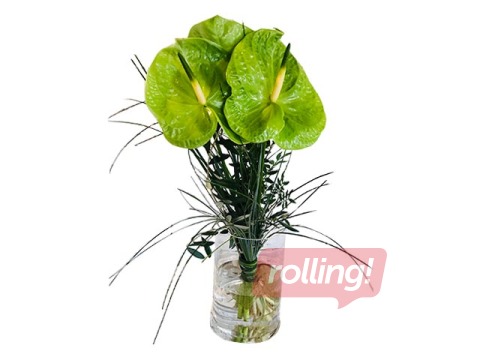 Flowers Anthuriums, 60cm, 3 pcs.