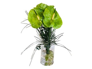 Lilled Anthuriums, 60cm, 3 tk.