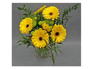 Ziedu pušķis Gerbera