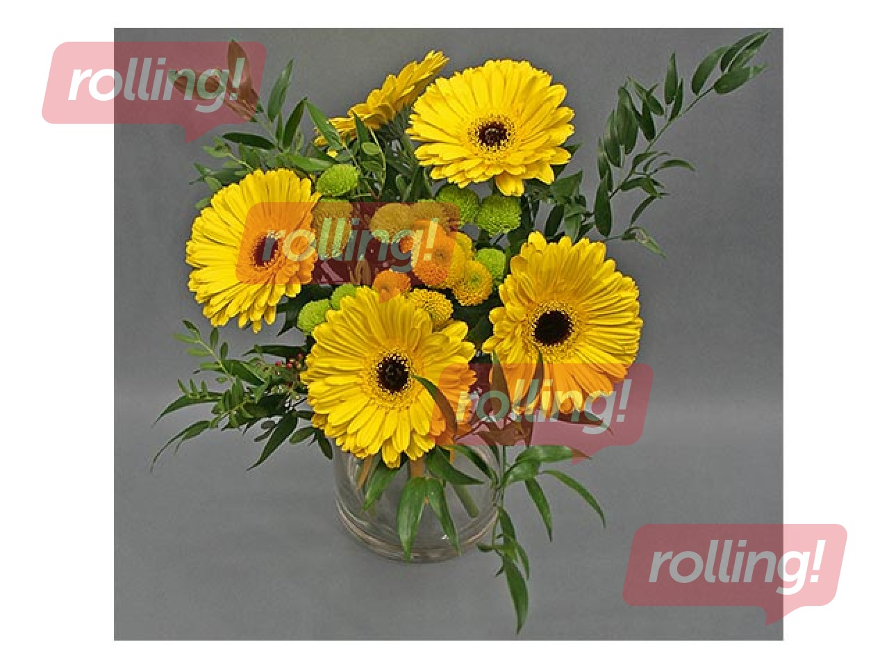 Ziedu pušķis Gerbera