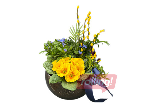 Spring arrangement in glass container