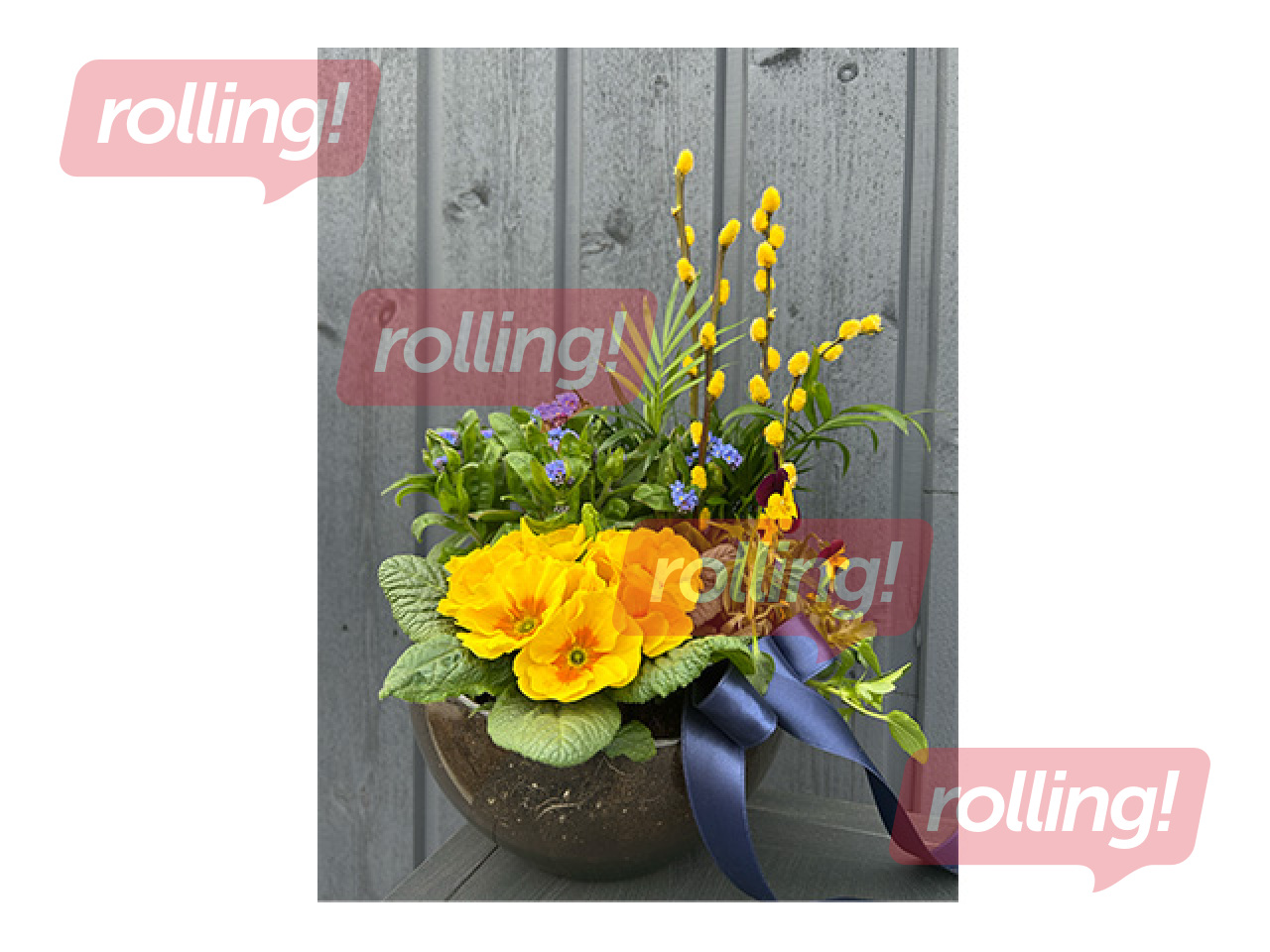 Spring arrangement in glass container
