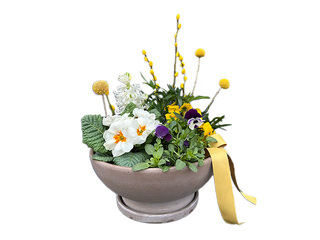 Kevadine kompositsioon savipotis