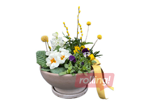 Spring composition in clay pot