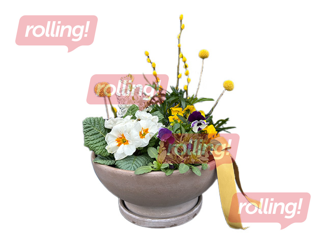 Spring composition in clay pot
