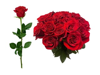 Rose 70 cm, red, 1 pcs (delivery only in Riga and Riga region)