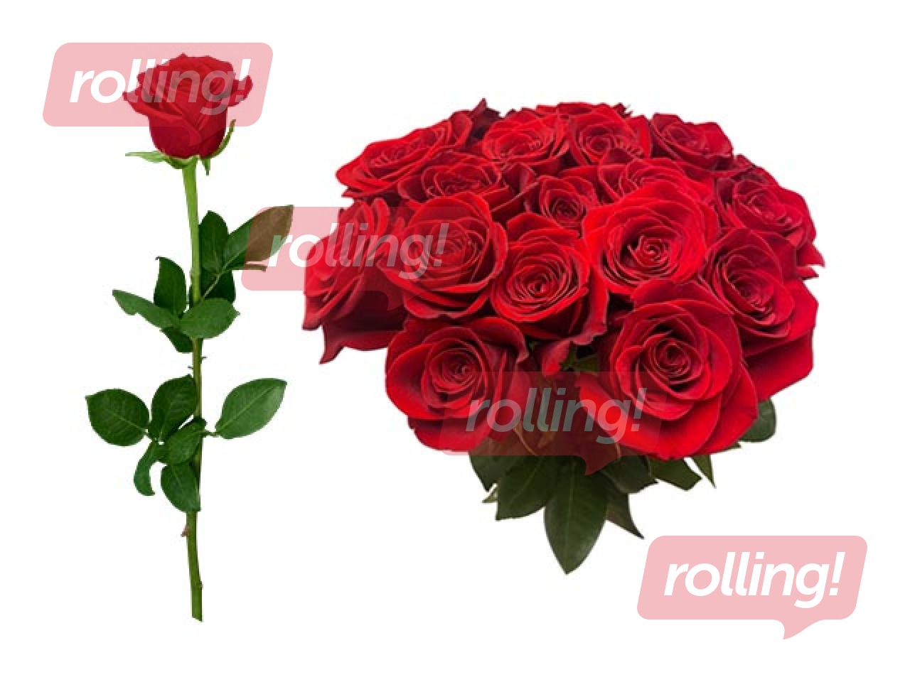 Rose 70 cm, red, 1 pcs (delivery only in Riga and Riga region)