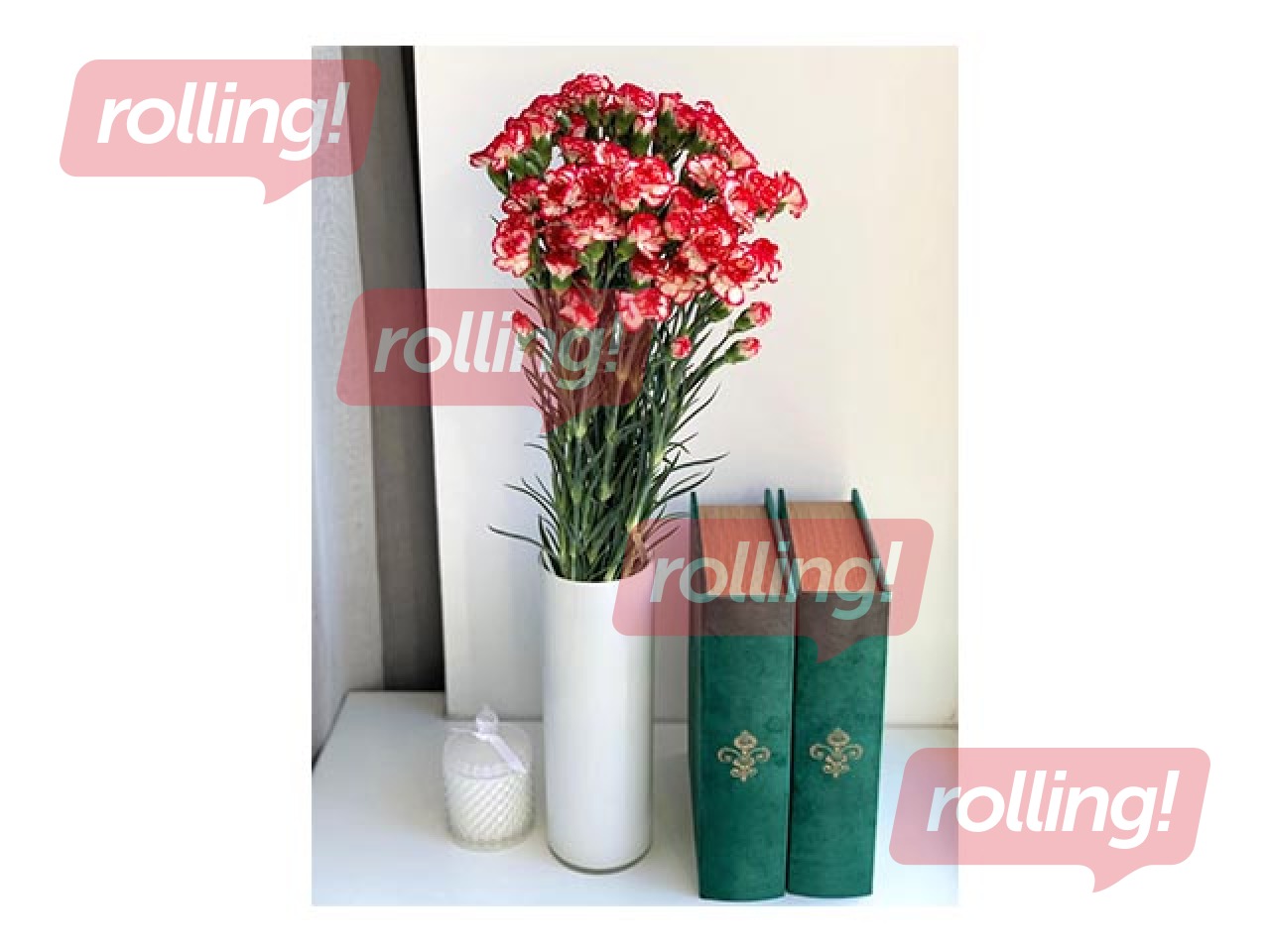 Carnations Minuetto, 60cm, 19 pcs.