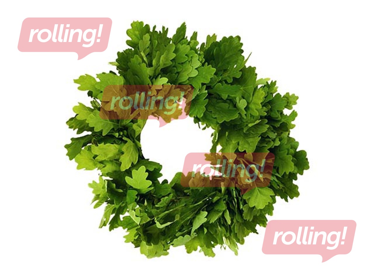 Oak leaf wreath, tie-on, Ø25cm