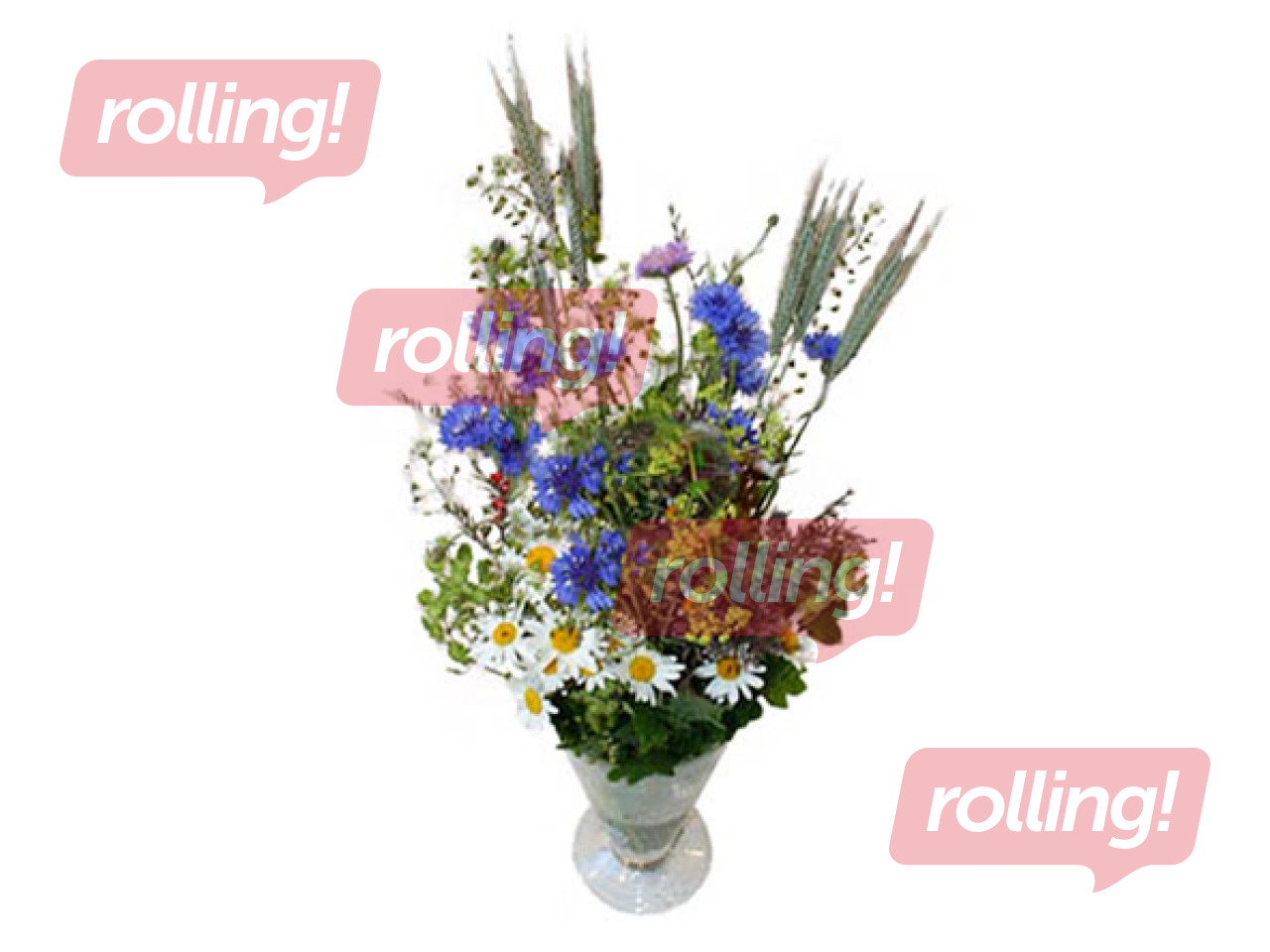 Jāņuzāļu pušķis