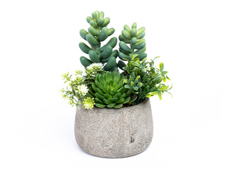 Kunstlik sukulent potis Domoletti, roheline, 20cm