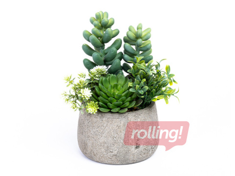 Mākslīgais augs, sukulents podiņā Domoletti, zaļš, 20cm