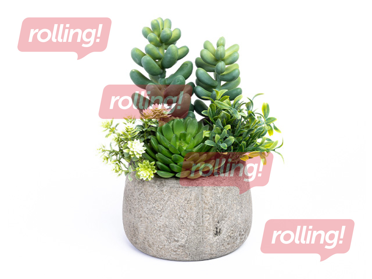 Mākslīgais augs, sukulents podiņā Domoletti, zaļš, 20cm