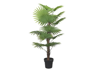 Kunsttaim Asil potis Domoletti, roheline, 120cm