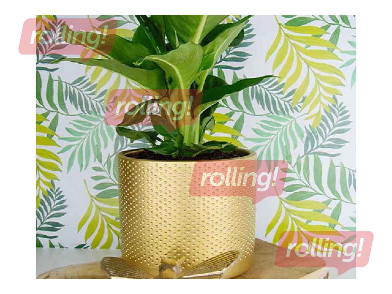 Decorative flower pot Domoletti, ceramic, gold, Ø19x17.6cm